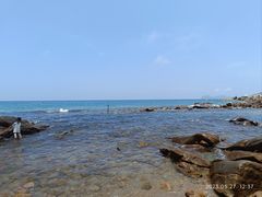 -广东惠东海龟国家级自然保护区