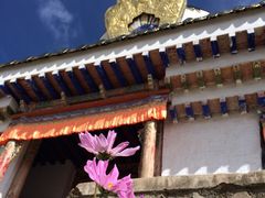 -达仓郎木寺院
