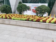 -上海明天广场JW万豪酒店