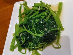 清炒时蔬-三猫黑鱼花(南大店)