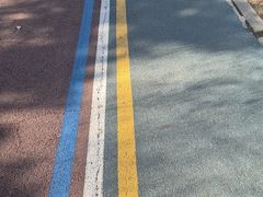 -黑龙江省森林植物园