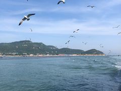 -长岛南北长山旅游景区