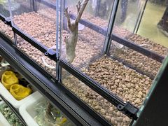 -三旗百汇商品城