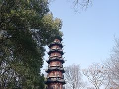 -上海佘山国家森林公园西佘山园