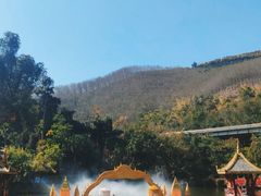 -西双版纳原始森林公园