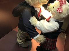-成都泰迪熊博物馆