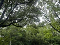 -赭山公园