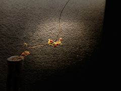 -物心空间