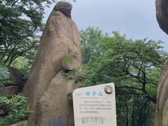-嵖岈山风景区