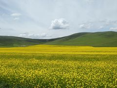 -扁都口生态休闲旅游区