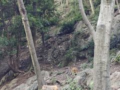 -黔灵山公园