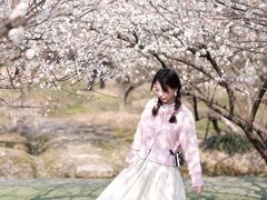 -香雪海
