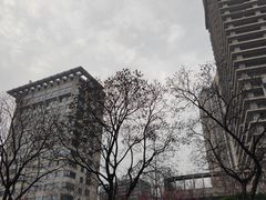 -霄汉羊排(万松园一店)