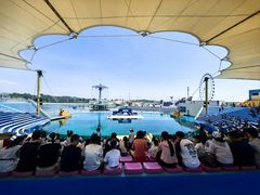 -秦皇岛乐岛海洋王国