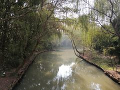 -同里国家湿地公园