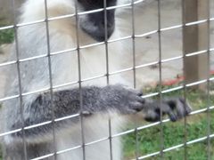 -南昌动物园