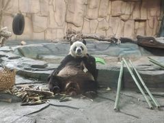 -泉州海丝野生动物世界