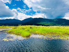 -腾冲北海湿地