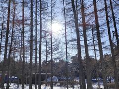 -长春市南湖公园