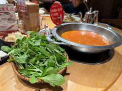 -老凯俚酸汤鱼(多彩城店)