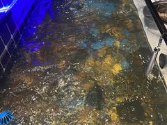 -川骄海鲜自助(河东店)