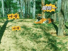 -北京野生动物园