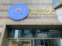 -柴务处·柴犬主题狗咖