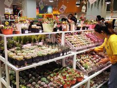 -KKV(深圳宏发大仟里店)