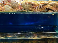 -7fresh七鲜(大族广场店)