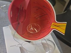 -武汉大学附属爱尔眼科医院(湖北总院)