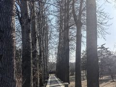 -晋祠公园