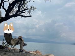 -阳宗海湿地