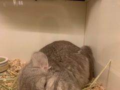 -龙猫仔乐园(惠福东路店)