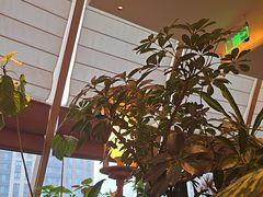 -桂满陇·蟹黄小笼汤包(清河万象店)