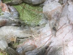 -集杰尚品海鲜烤肉自助餐厅(乳山振华店)