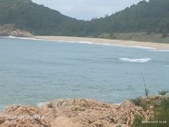 -广东惠东海龟国家级自然保护区