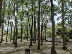 -上海滨江森林公园
