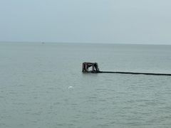 -贡湖湾湿地公园