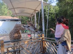 -泉州海丝野生动物世界