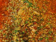 -高坎一品甲鱼庄(两河店)