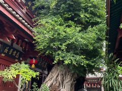 -叩齿古寺