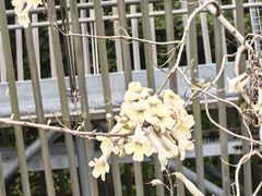 -福道