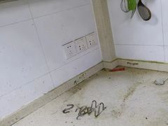 -祝管家·高端住家保姆月嫂育儿嫂(闵行店)