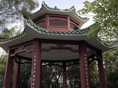 -顺峰山公园