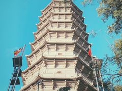 -深圳国际园林花卉博览园