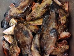 -西涌国际滨海旅游区