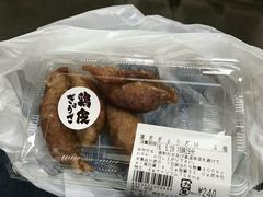 -台场海滨公园船码头