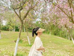-火炉山森林公园