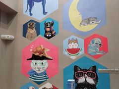 -MOLLY'S萌宠生活馆