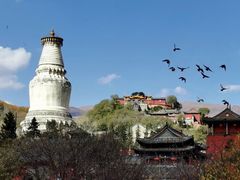 -五台山风景名胜区